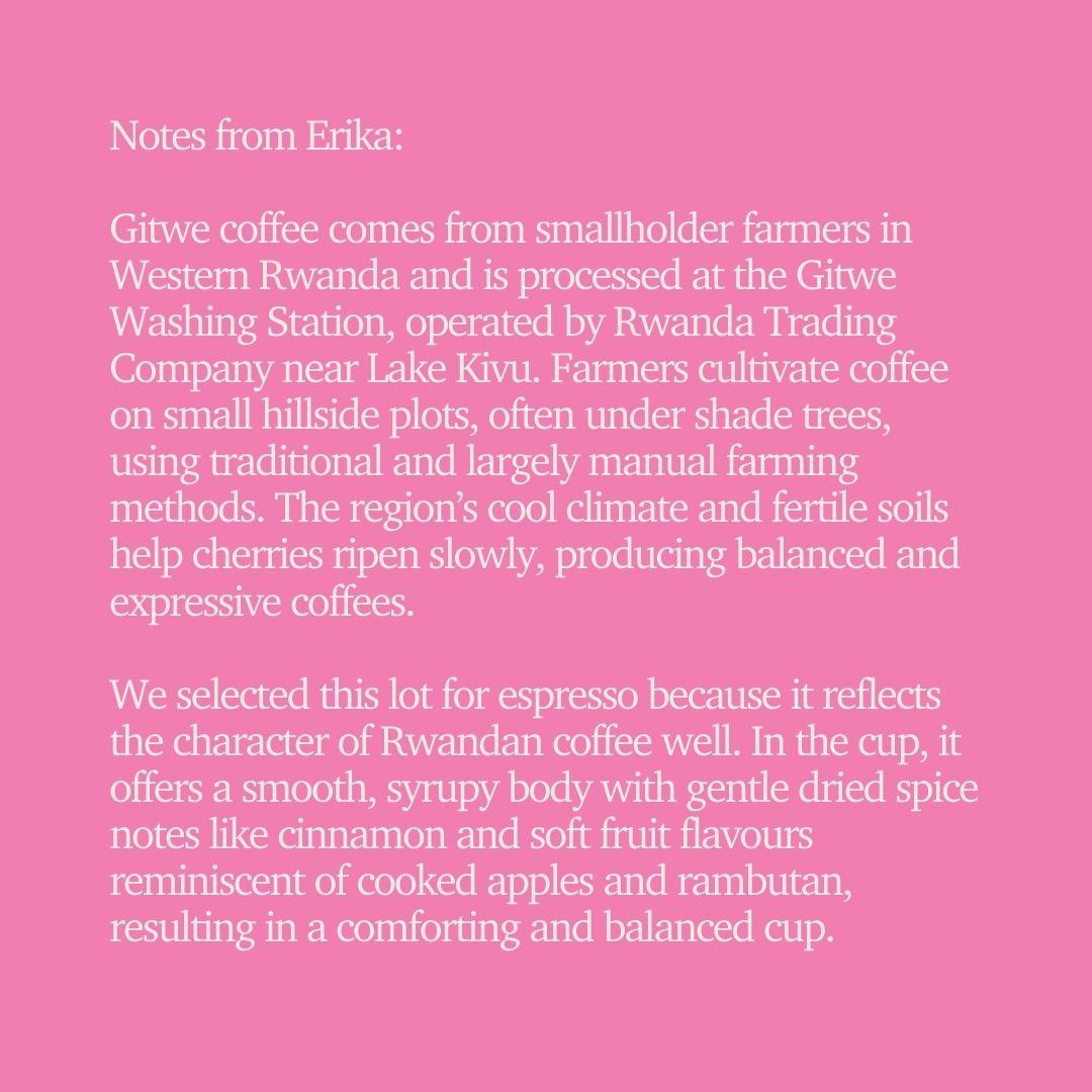 SOE - Rwanda Gitwe 1159 Natural (Espresso)