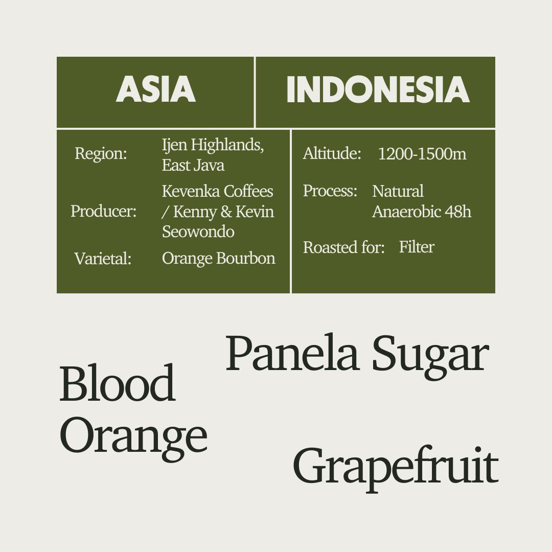 The Three-Of-A-Kind Filter Coffee Box