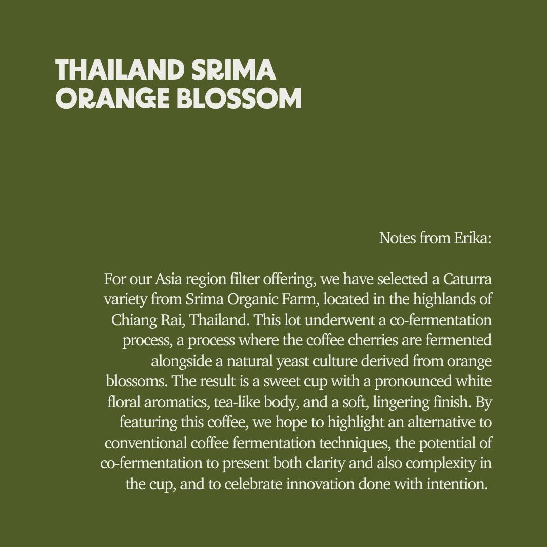 Thailand - Chiang Mai Srima Co-Fermentation Orange Blossom