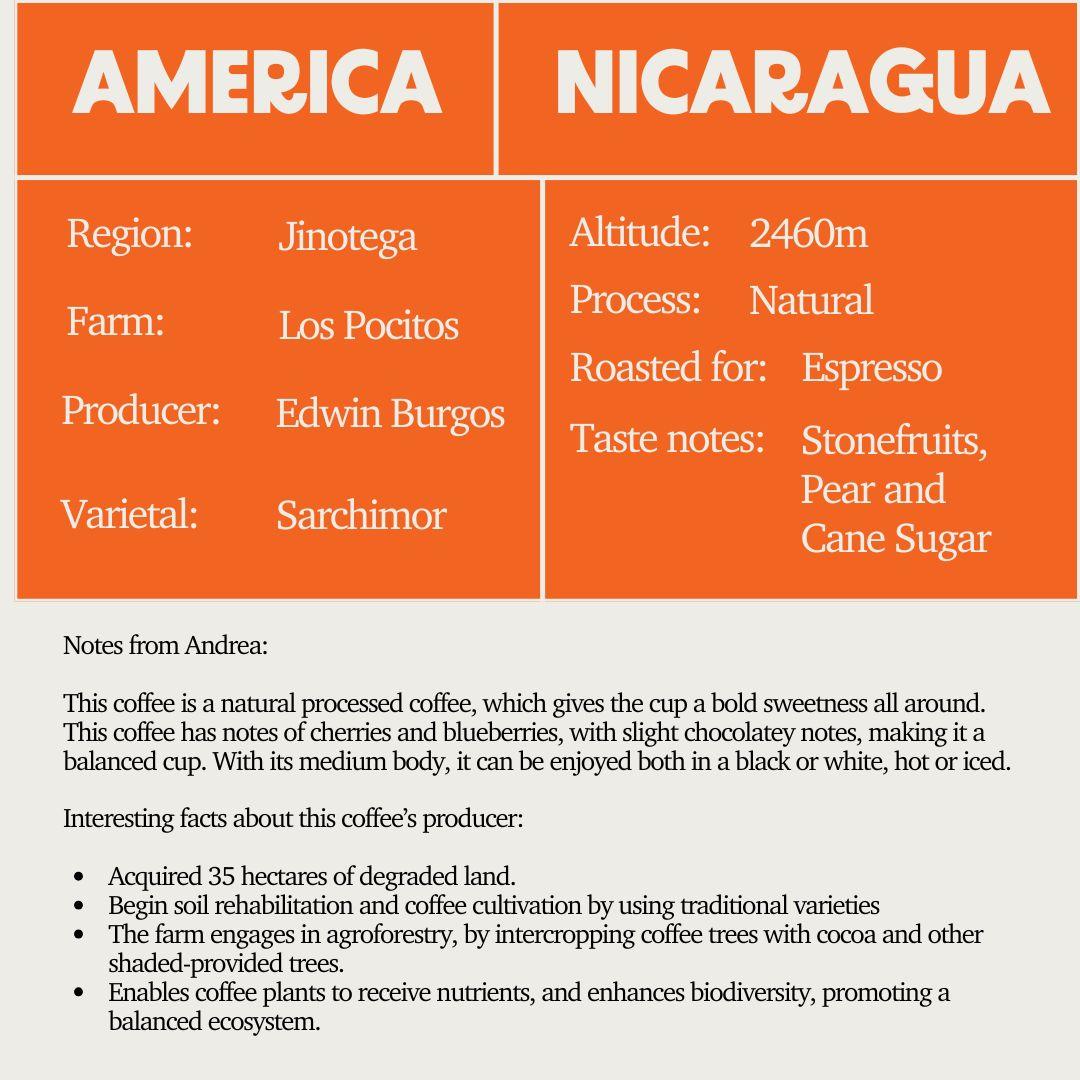 SOE - Nicragua Los Pocitos (Espresso)