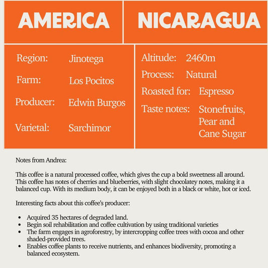 SOE - Nicragua Los Pocitos (Espresso)