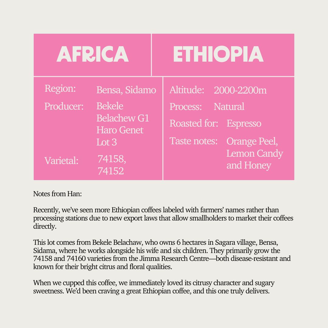 Bad Artist Coffee Co SOE - Ethiopia Bekele Belachew G1 Haro Genet Lot 3 (Espresso) – specialty coffee beans Malaysia