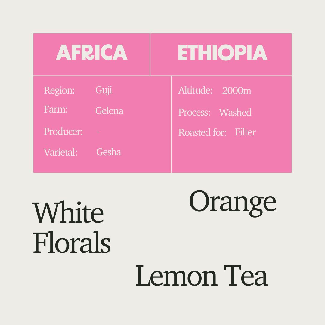 The Three-Of-A-Kind Filter Coffee Box