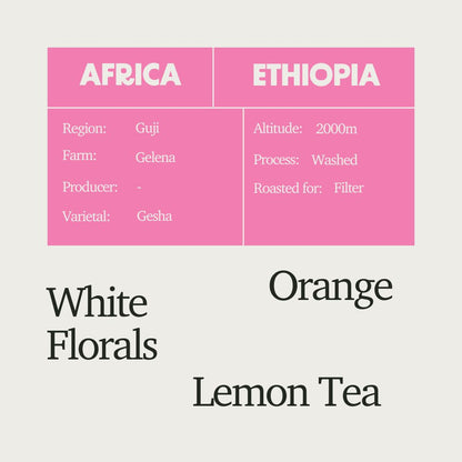 The Three-Of-A-Kind Filter Coffee Box