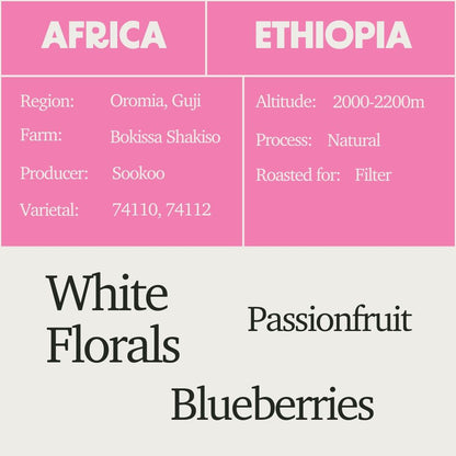 Ethiopia - Bokissa Shakiso Guji G1 Natural