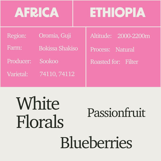 Ethiopia - Bokissa Shakiso Guji G1 Natural