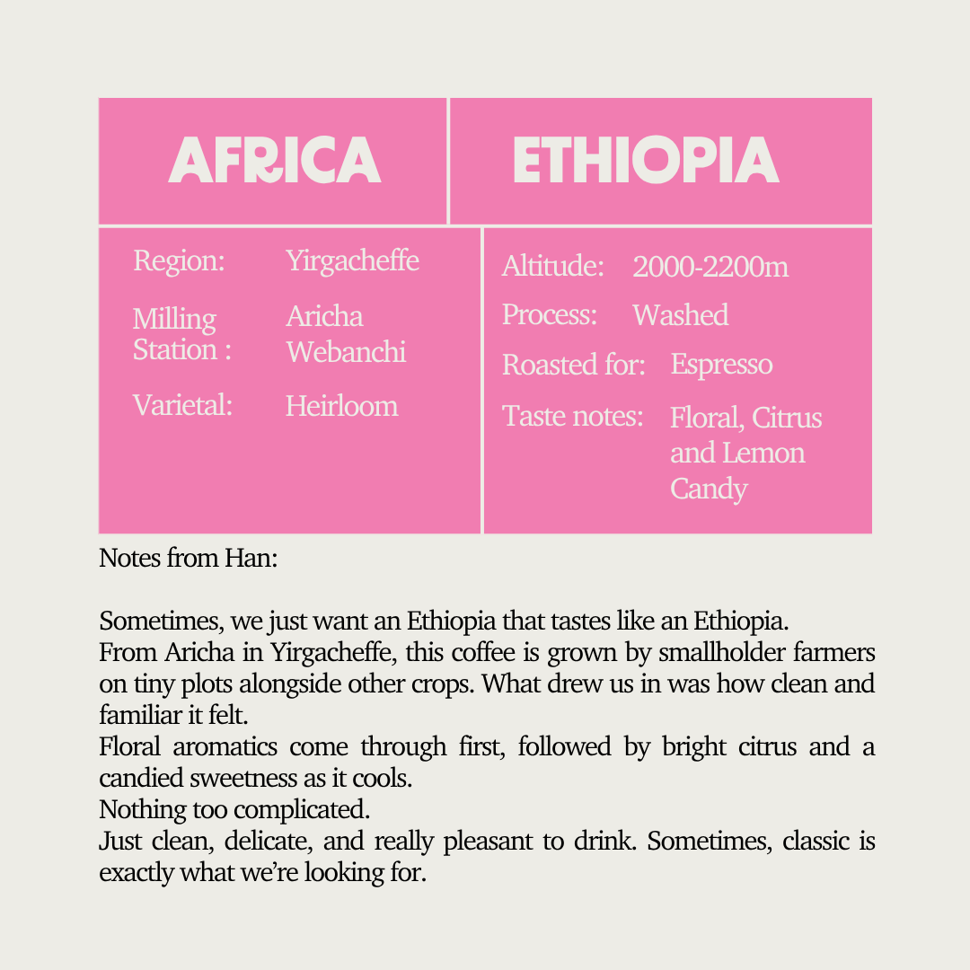 SOE - Ethiopia Yirgacheffe Aricha Webanchi Washed