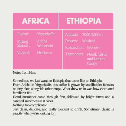 SOE - Ethiopia Yirgacheffe Aricha Webanchi Washed