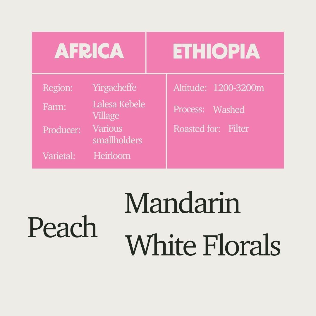 Ethiopia - Yirgacheffe Lalesa Washed