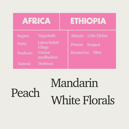 Ethiopia - Yirgacheffe Lalesa Washed