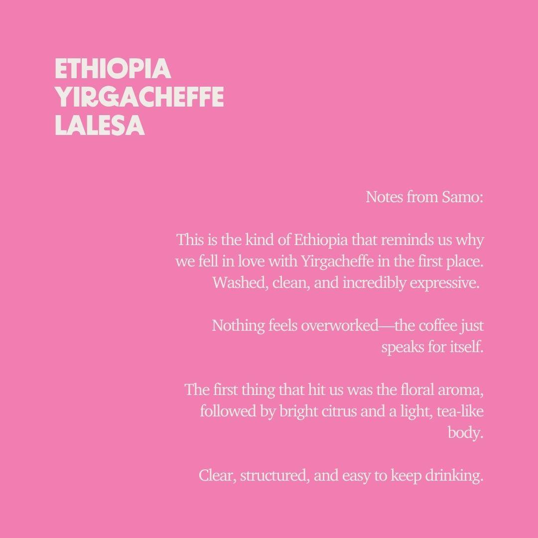 Ethiopia - Yirgacheffe Lalesa Washed