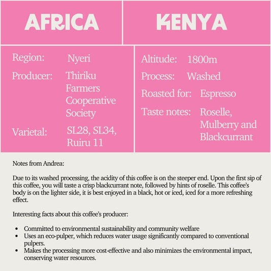 SOE - Kenya Nyeri Thiriku AA (Espresso)
