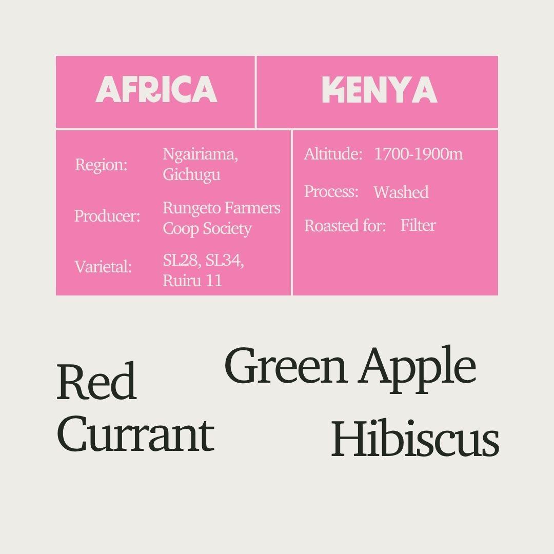 Kenya - AA Kii Lot 6211 Washed