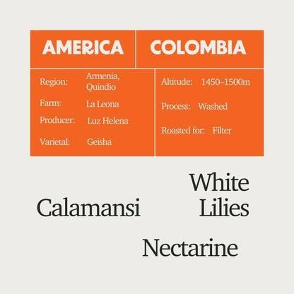 Colombia - Luz Helena Gesha Washed