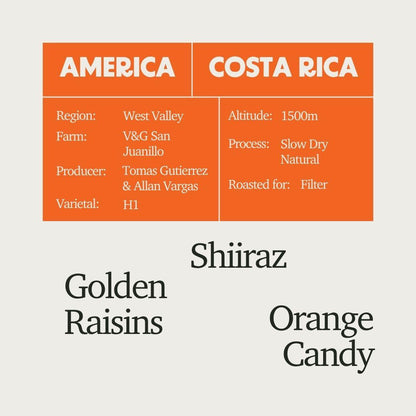 Costa Rica - V&G H1 Slow Dry Natural