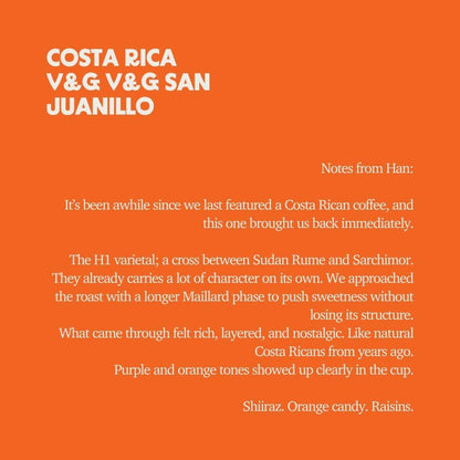 Costa Rica - V&G H1 Slow Dry Natural