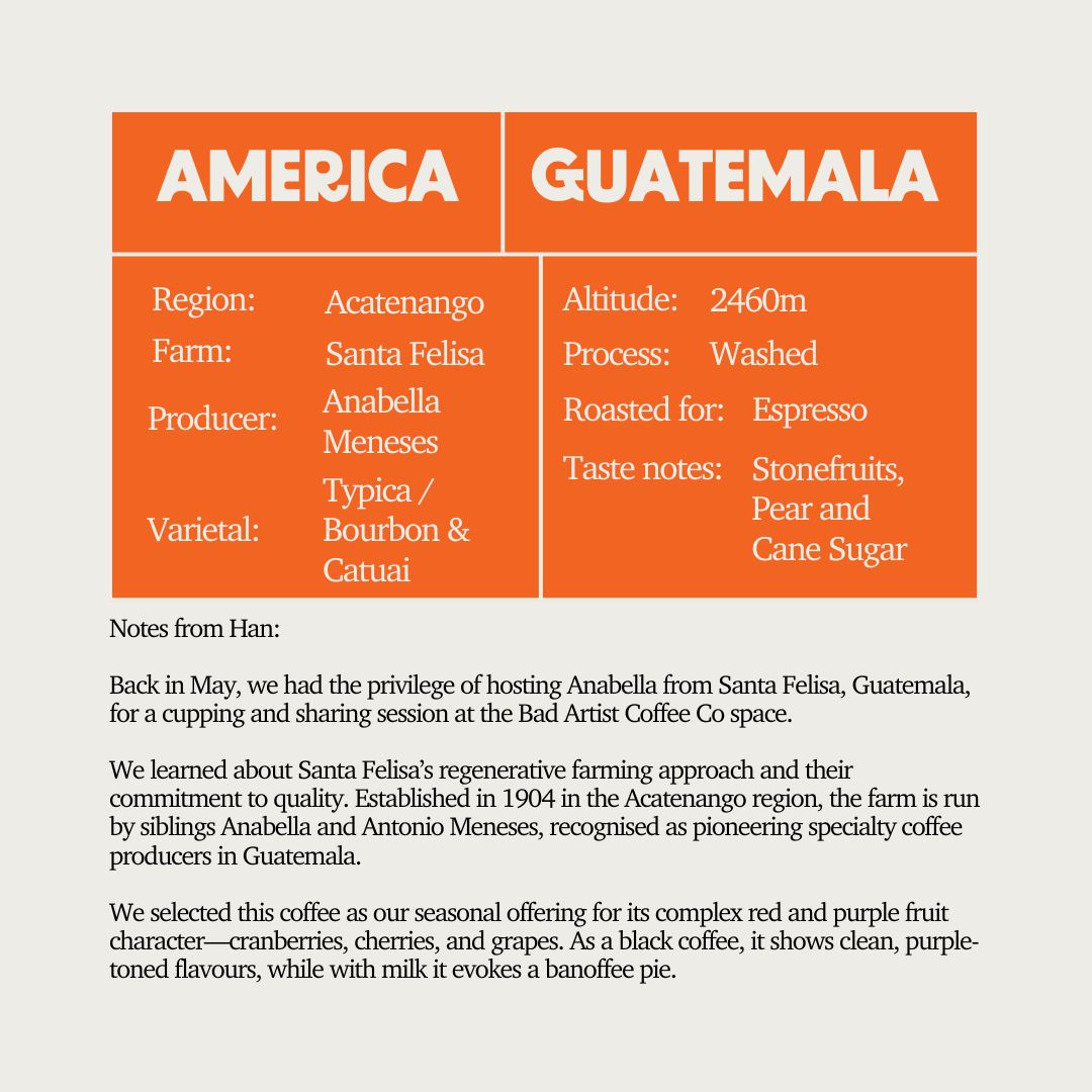 SOE - Guatemala Santa Felisa Blue Diamond SHB (Espresso)