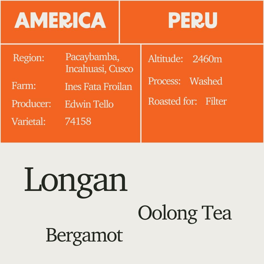 Peru - Edwin Tello Geisha Washed