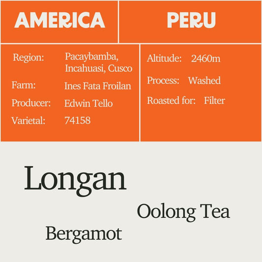 Peru - Edwin Tello Geisha Washed
