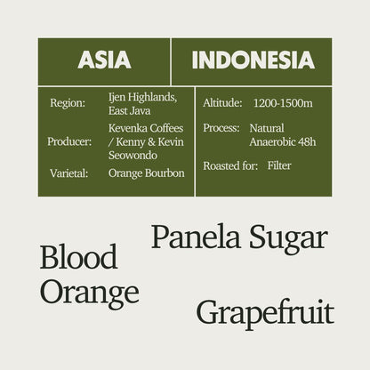 The Three-Of-A-Kind Filter Coffee Box