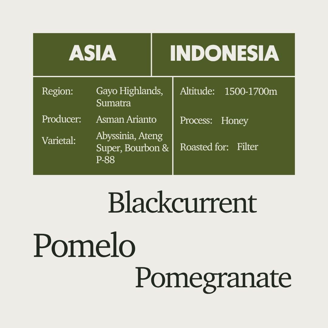Indonesia - Ribang Gayo Asman Arianto