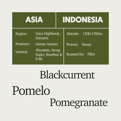 Indonesia - Ribang Gayo Asman Arianto