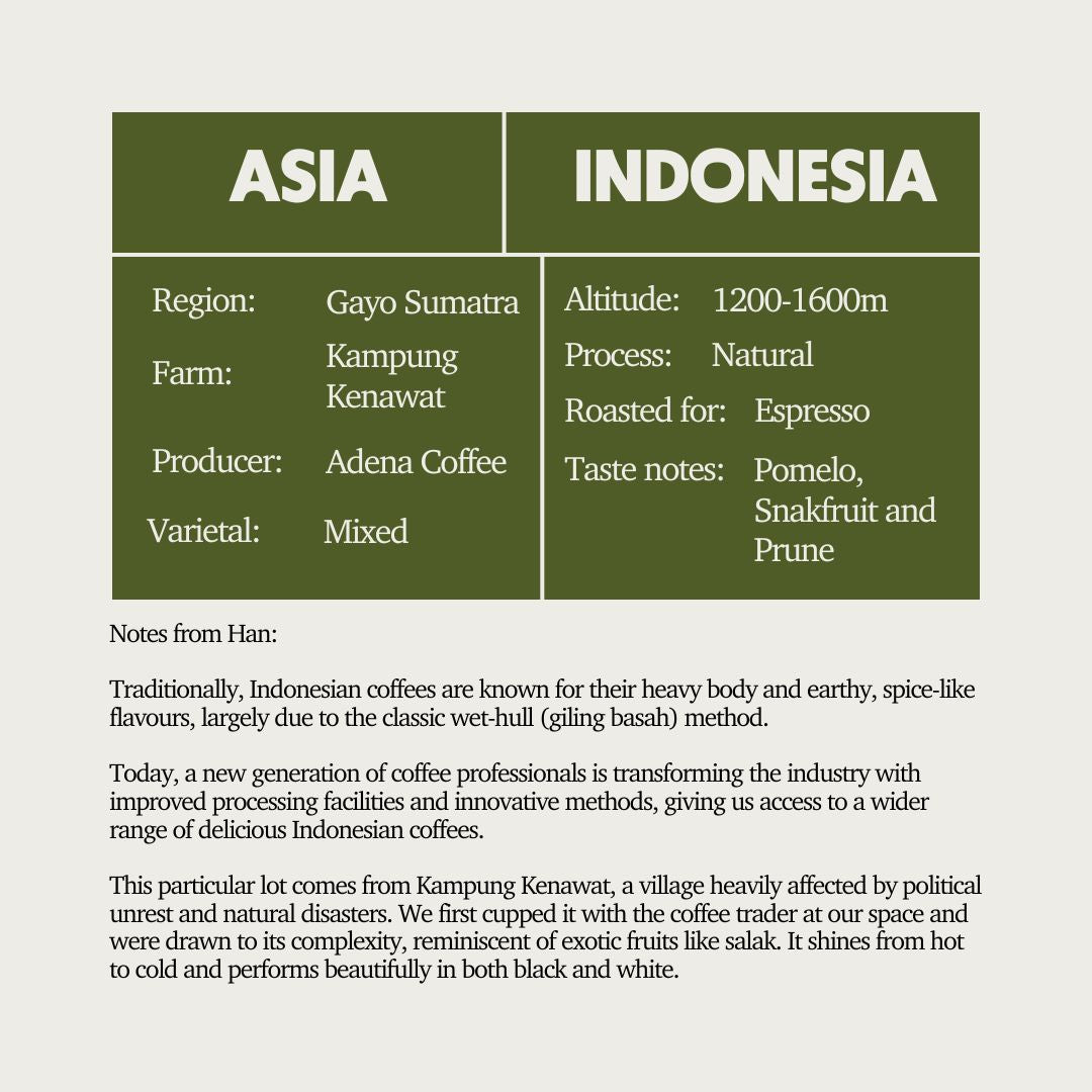 Bad Artist Coffee Co SOE - Indonesia Gayo Arkhan Sumatra Kampung Kenawat (Espresso) – specialty coffee beans Malaysia