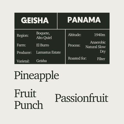 [LIMITED] Panama Lamastus Anaerobic Slow Dry Geisha