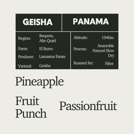 [LIMITED] Panama Lamastus Anaerobic Slow Dry Geisha